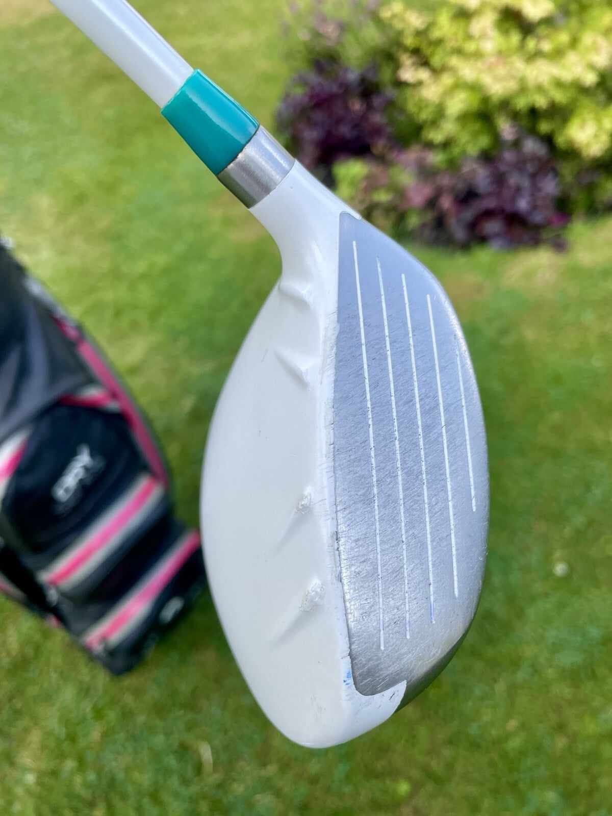 Ping Rhapsody Full Golf Set & Bag Ultralite Flex Right Hand Ladies Golf Clubs